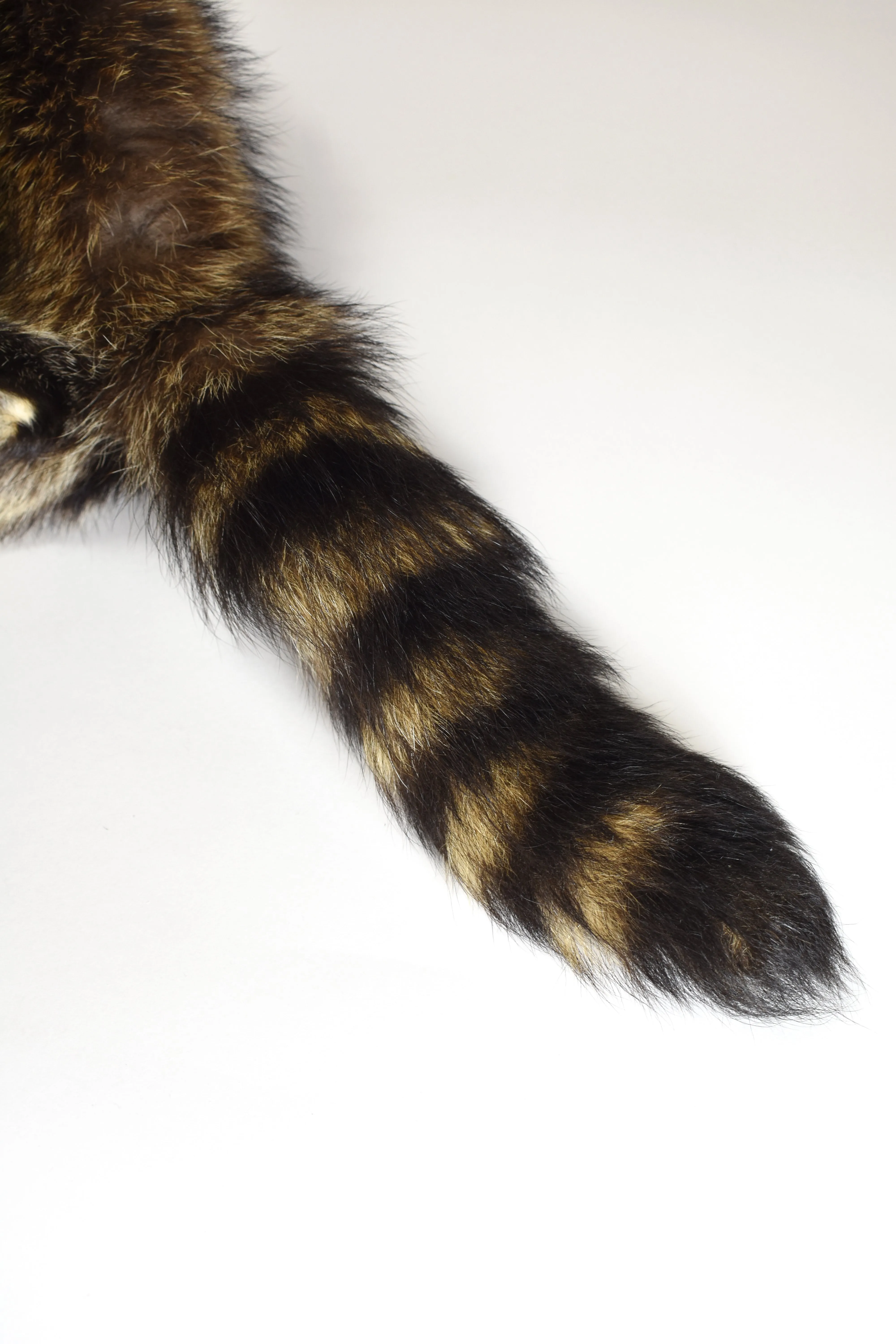 Sekanson Traditional Raccoon Skin Band - D.Brown